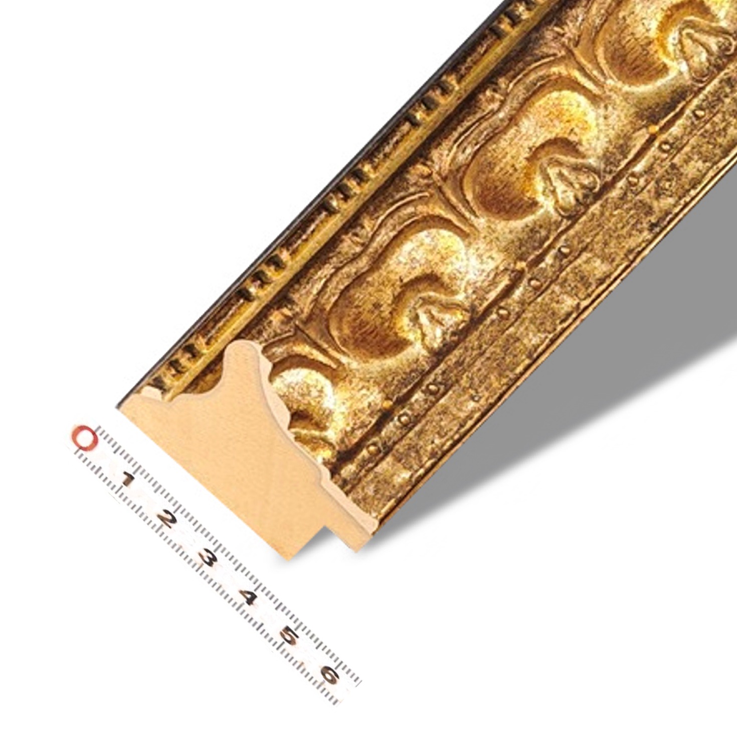 Malá Bologna zlatá