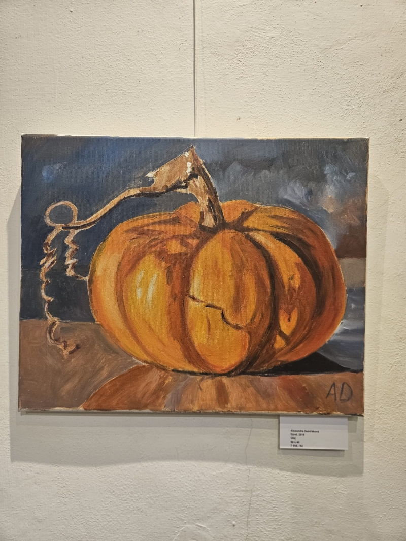 Alexandra Demčáková - Dýně