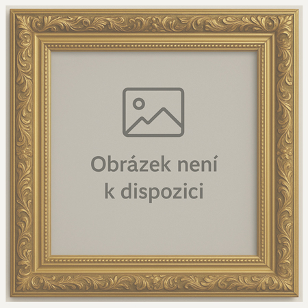 Rámařský software